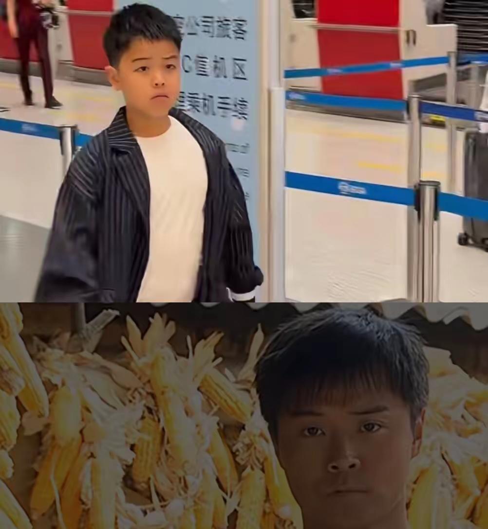 看得出来了不管佟丽娅再漂亮再完美那也白搭，不能否认，孩子在遗传方面，真的是一