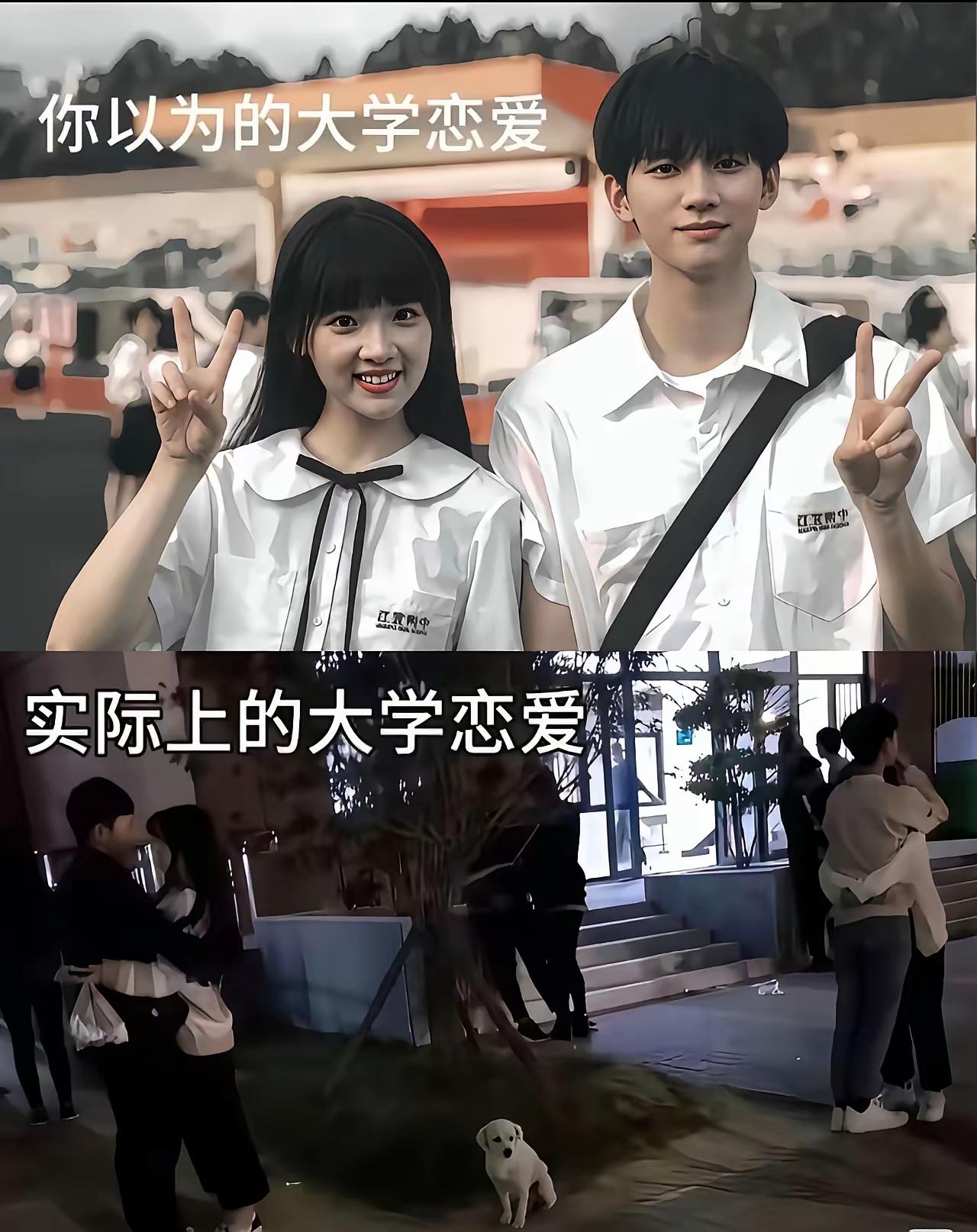 上过大学的都知道，这个实际的不能再实际了，上面的镜头那是理想中的状态，是电视剧中