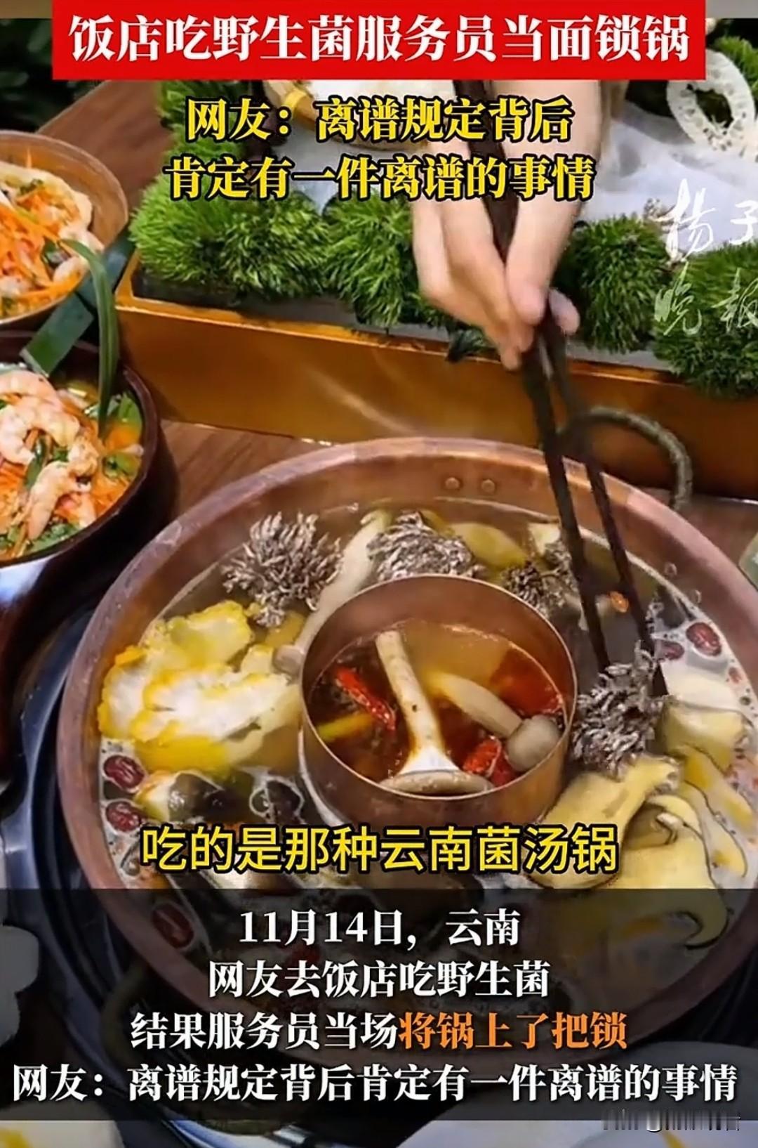 😂云南吃菌子惊魂！服务员锁锅把钥匙揣走，竟是保命操作！在云南吃野生菌火锅