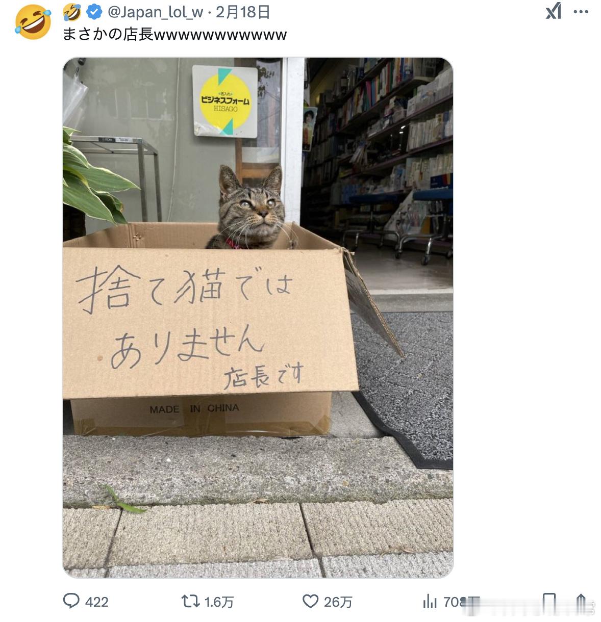 这不是被人遗弃的猫，这是店长。[doge]