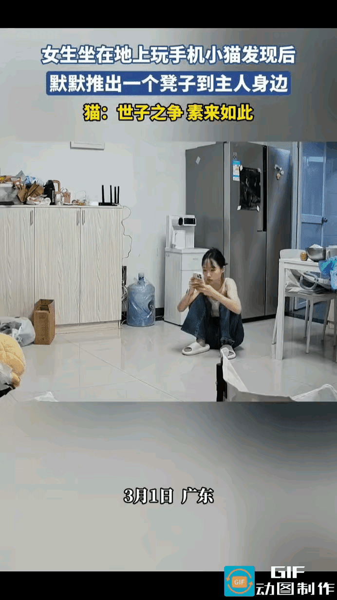 谁能拒绝一只会心疼人的小猫咪啊！看到主人坐在地上玩手机，狸花猫