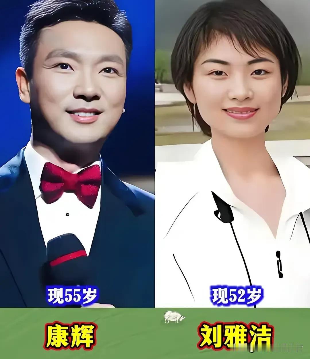 一众央视主持人的婚姻故事，满是温柔烟火气。刚强与徐春妮、鲁健与郑天亮大多因工作结