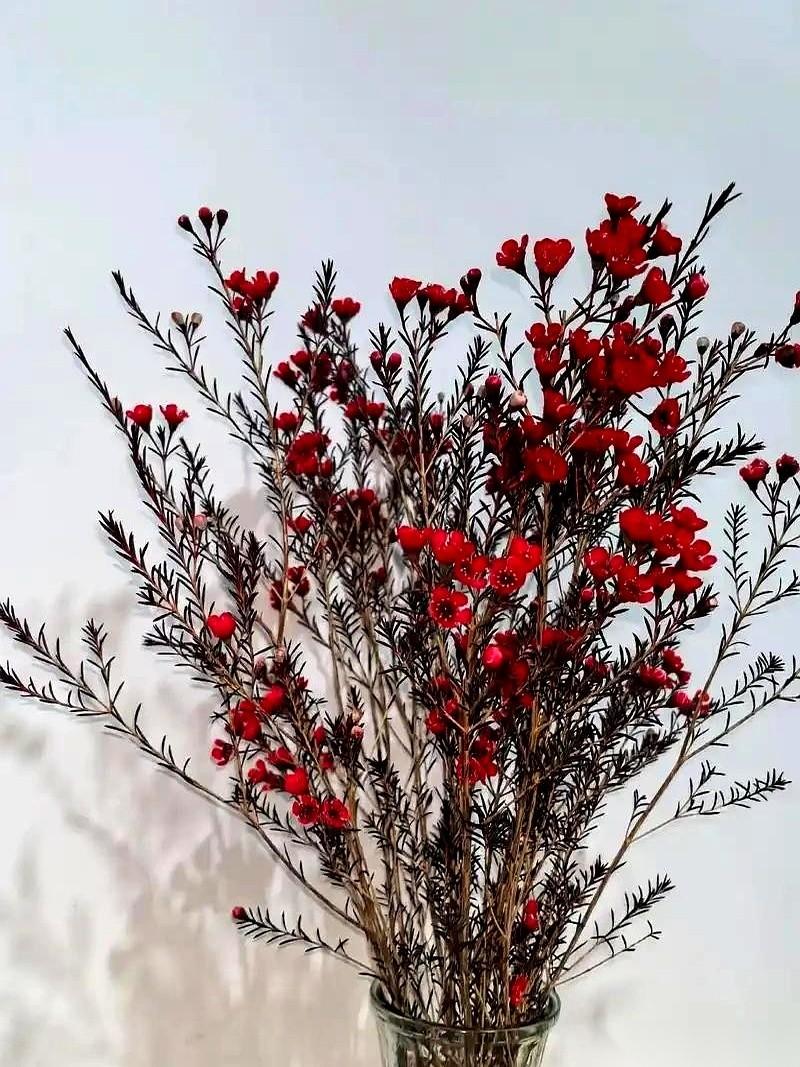 今年春节，出现了一种“送礼式拜年”。车开到亲戚家楼下，后备箱弹开，礼物往门口一