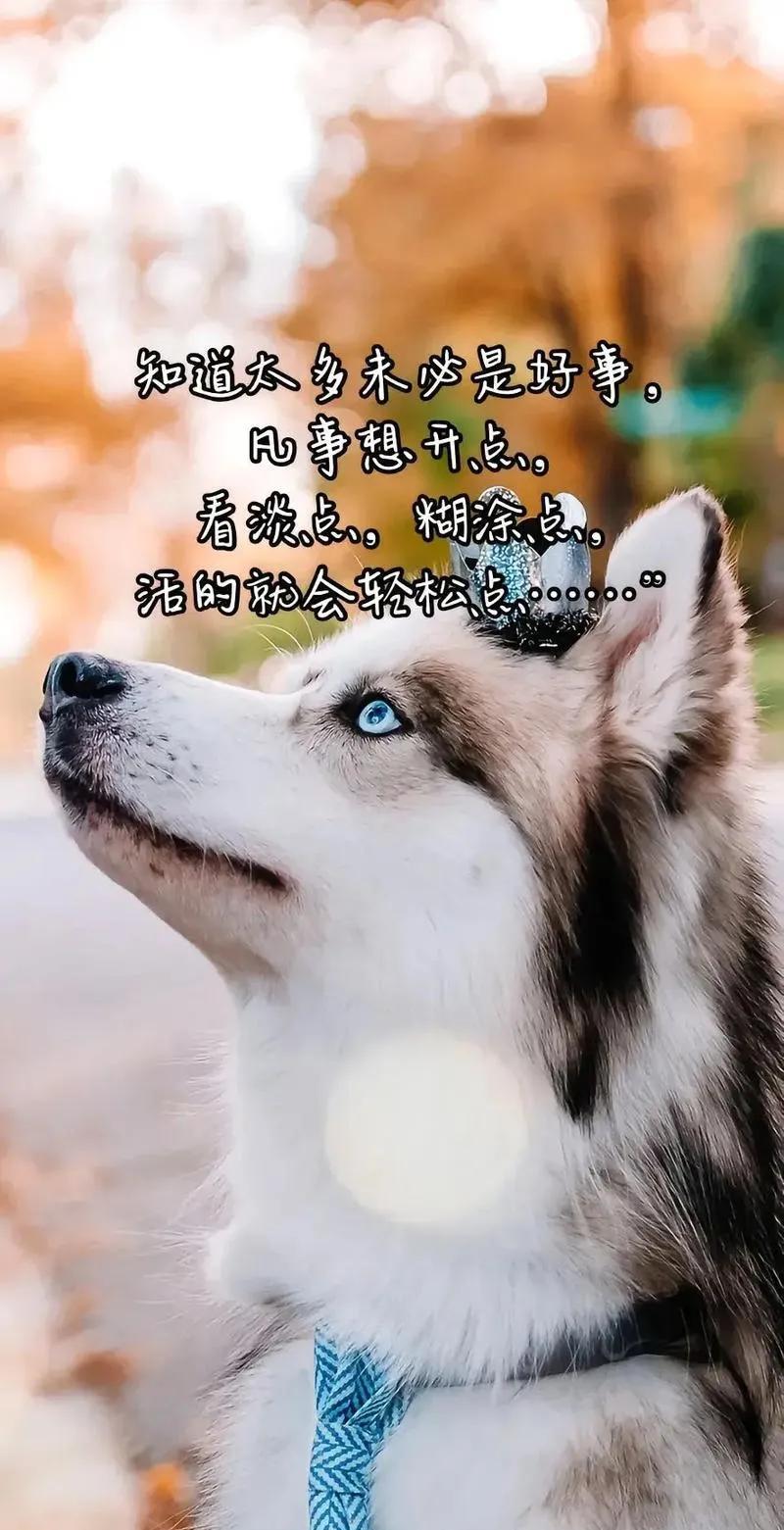 一句非常经典的话：不是每个人都能活到八九十岁，即便长寿，也要忍受衰弱和病痛。