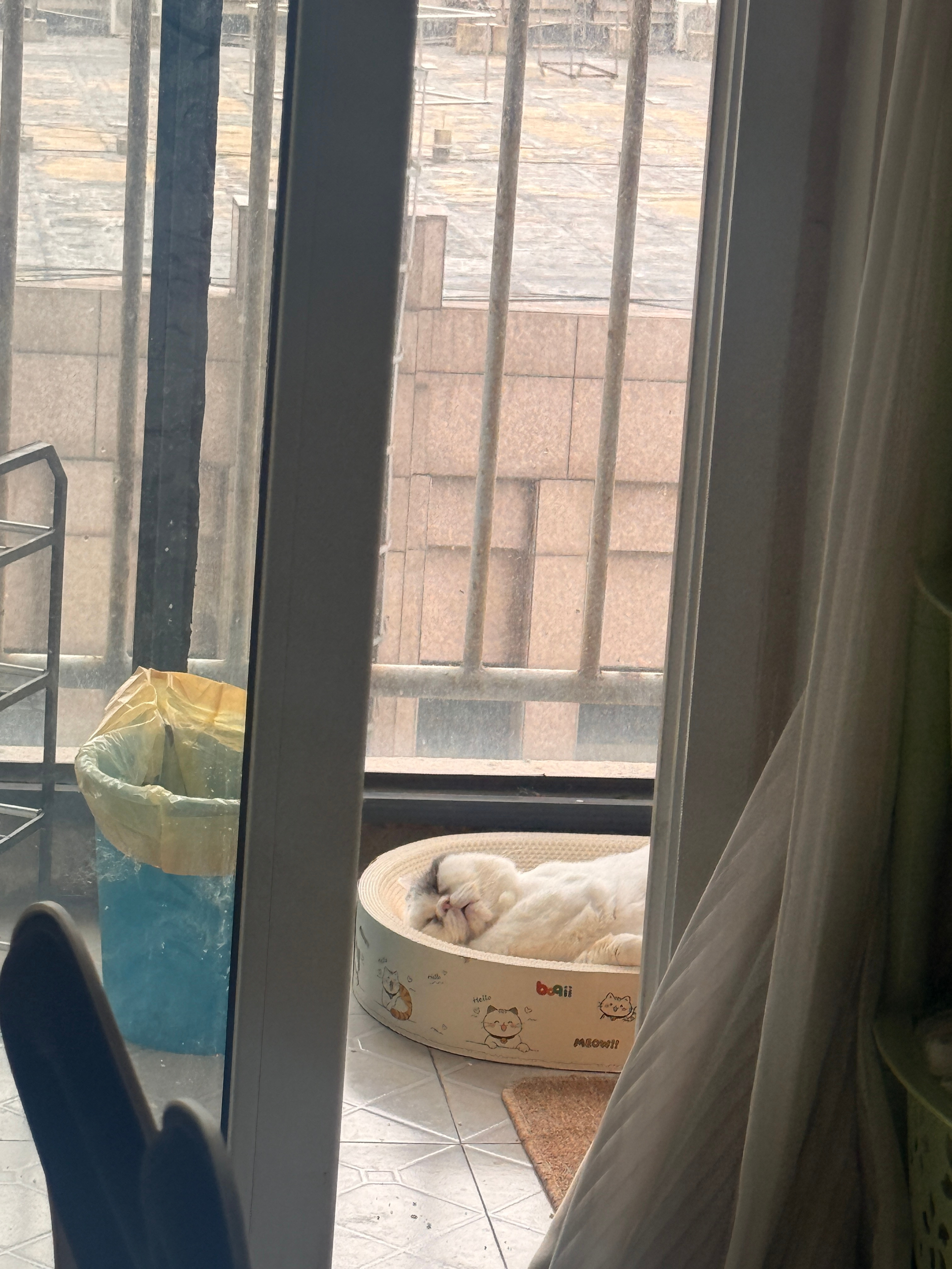 妈呀怎么睡的这么恶心