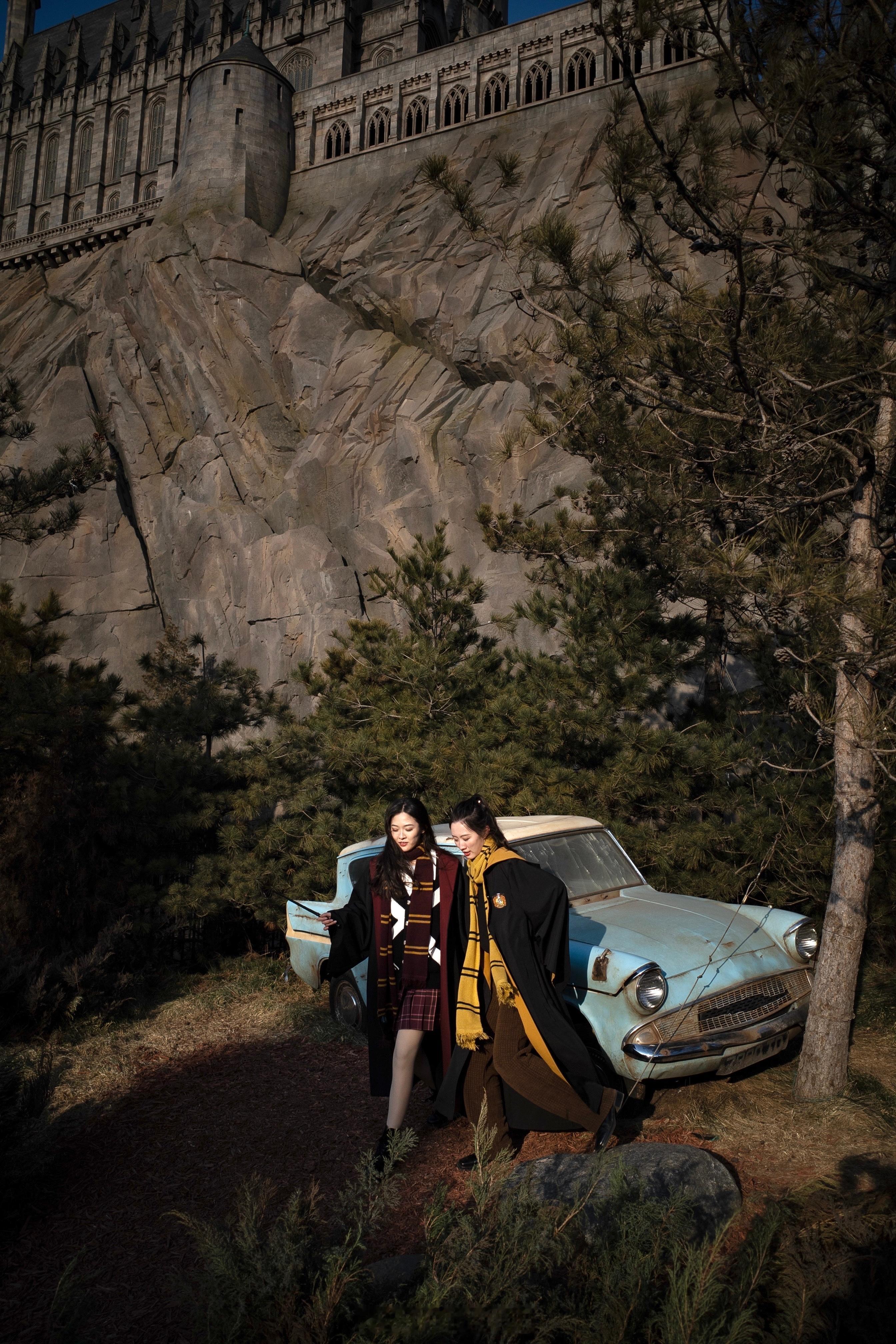 铁铁们周一好，你们有没有对自己非常重要的人生IP？我身边很多朋友可能是海贼可能是