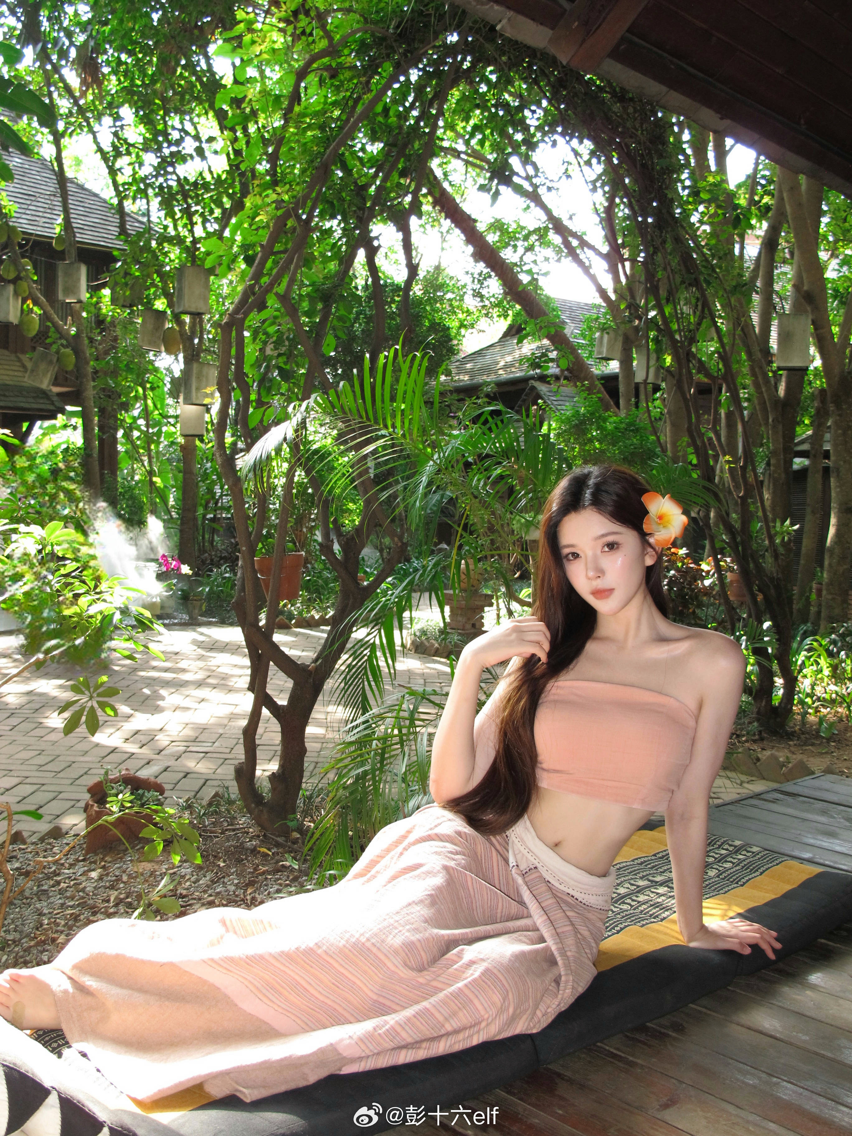 🌺🪹​​​