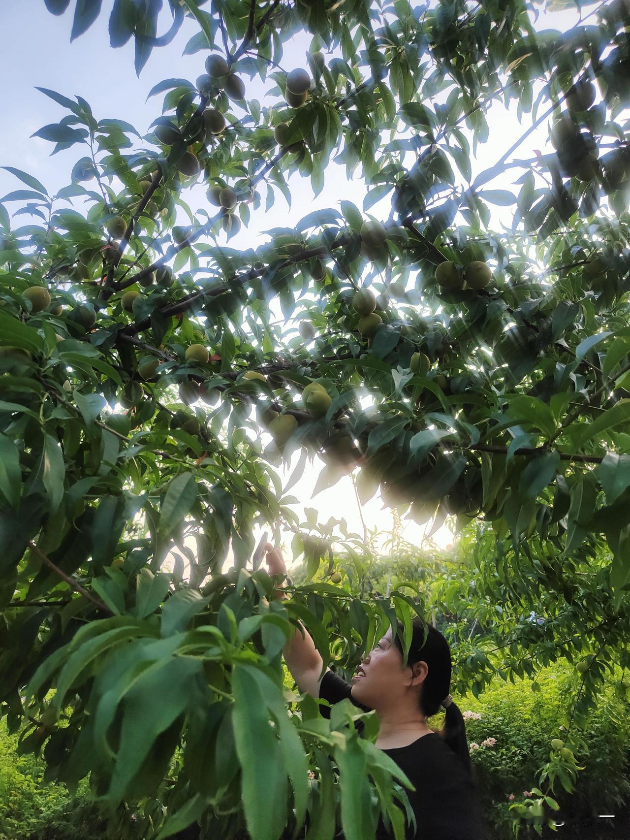 我今年五十岁了，不知道什么原因，感觉有时候，有点莫名其妙的烦躁不安，饮食习惯没有