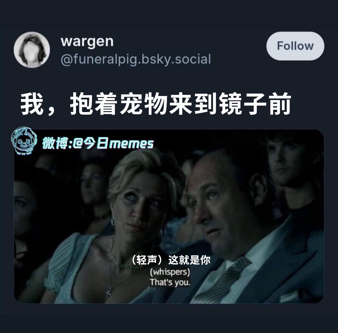 你看看（funeralpig.bsky.social）今日meme今日