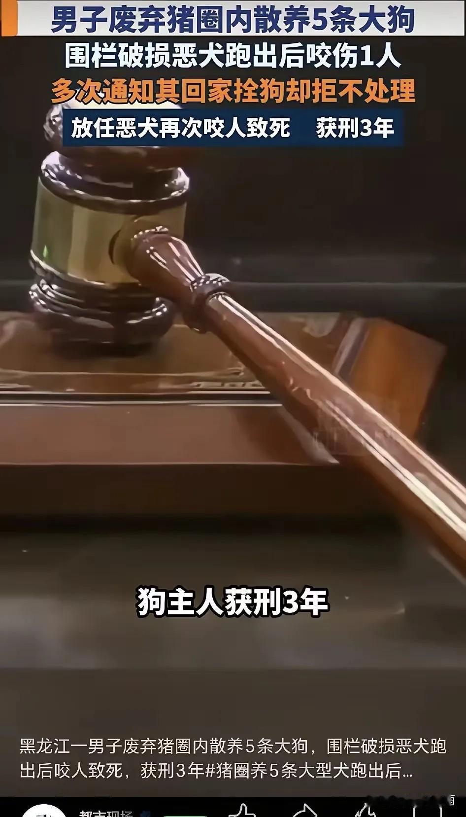 令人痛心！黑龙江尚志这起养犬悲剧，值得所有人反思。黑龙江尚志，男子马某饲养多