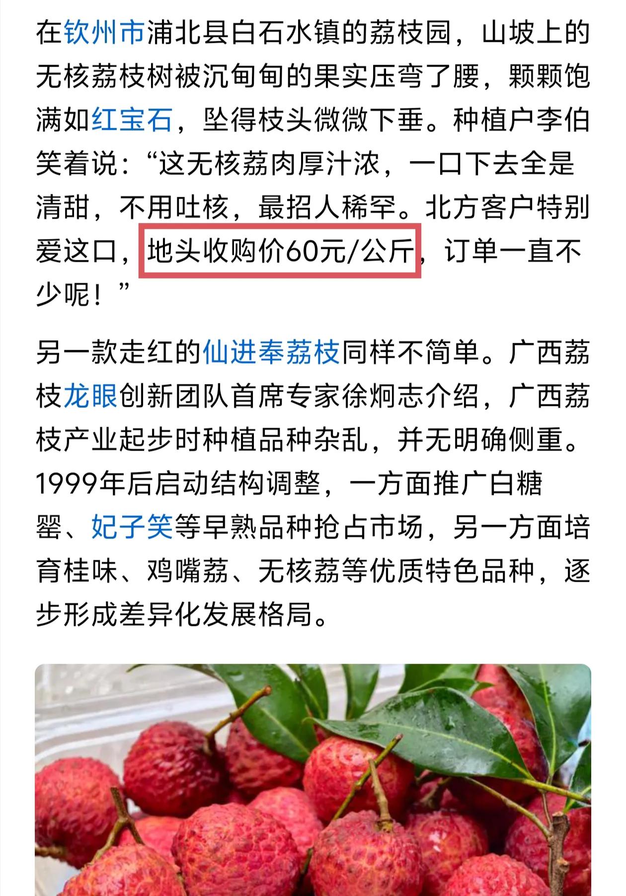 种荔枝一定要选对品种，同样是在广西，你的荔枝几毛钱一斤，别人的荔枝收购价都30元