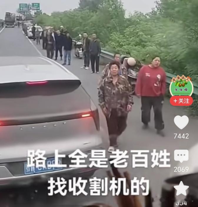 湖北襄阳又创造了一个新成语，割四陪五。但是看官媒的数据，截止到25号，襄阳的麦