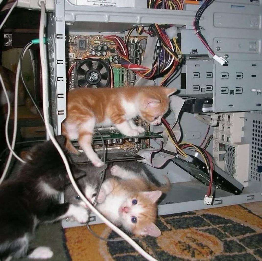 小猫帮忙修电脑​​​