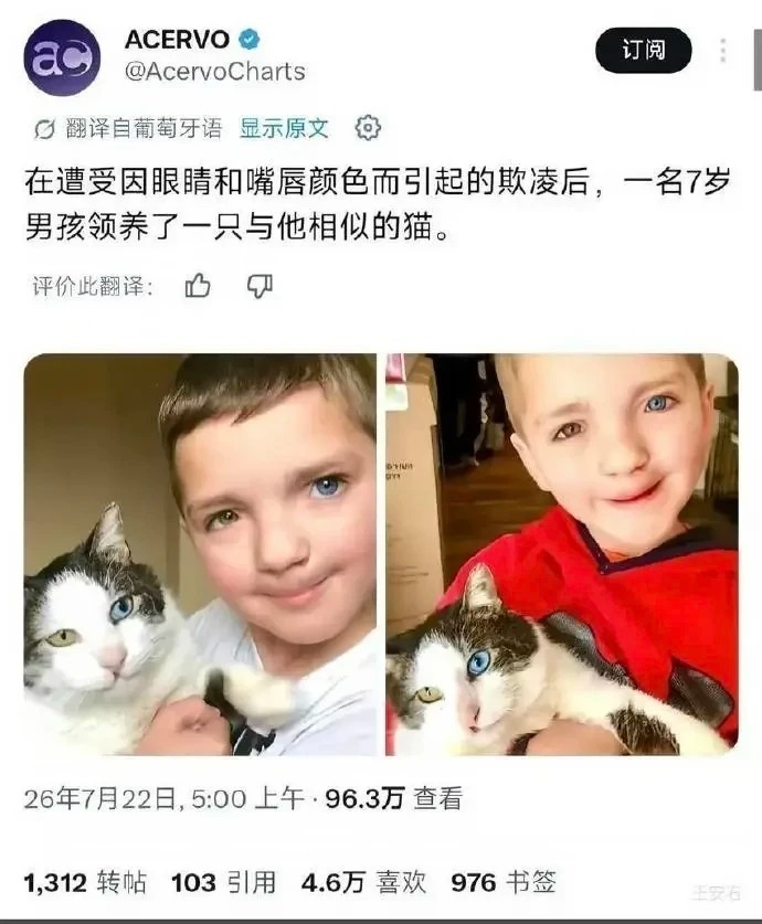 上网就是为了看这些的！