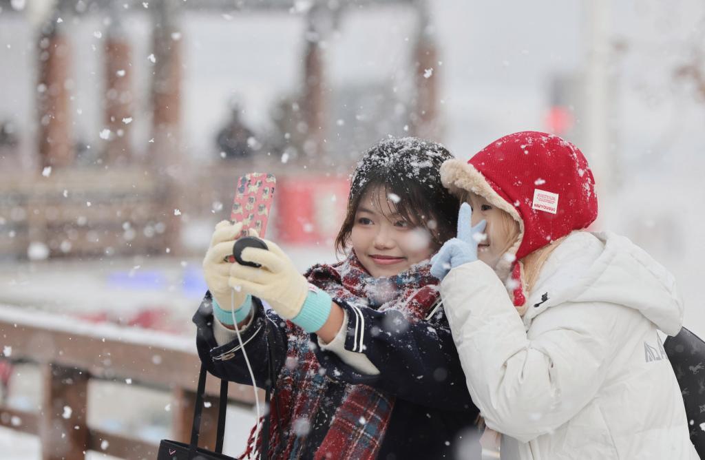青岛栈桥冬日奇观：零下11度海边暴雪如诗，南方游客尖叫拍照不舍离去！当雪花如