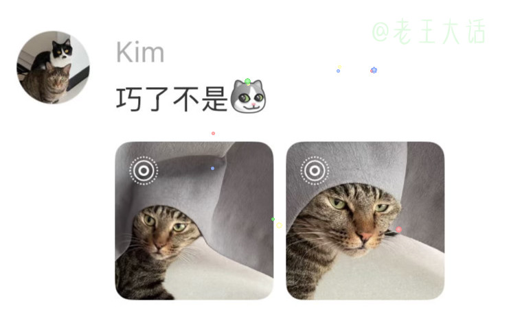 这下真的成《带珍珠耳环的猫》了