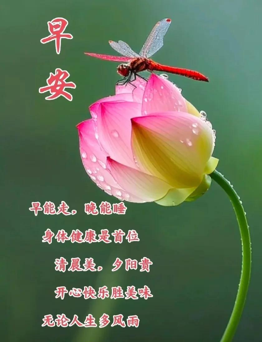 [玫瑰]早上好[玫瑰]早能走。晚能睡身体健康是首位清晨舅。夕间贵开也快乐
