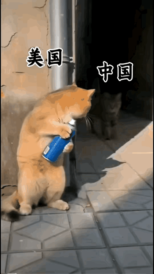 形象，生动，真实！美国🇺🇸这么强的国家，明明实力顶尖，面对中国，怎么低级错