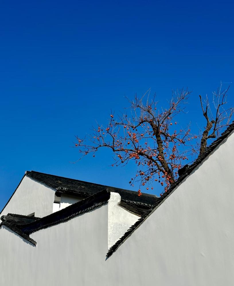 内心强大的人，都调好了这十种模式。​1.允许​雨会淋湿你，花会错过春天
