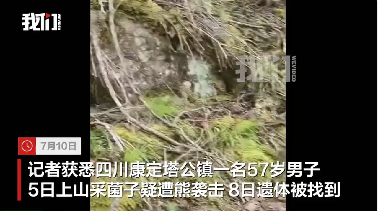 四川康定塔公镇一名57岁男子独自进山采摘野生菌，疑似遭遇野生熊类袭击不幸离世