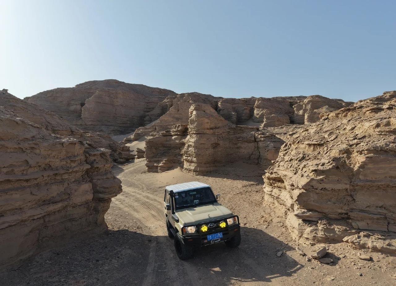 LC71穿越大海道还得是这小家伙皮实✌继前段时间穿越完羌塘就进入新疆了..