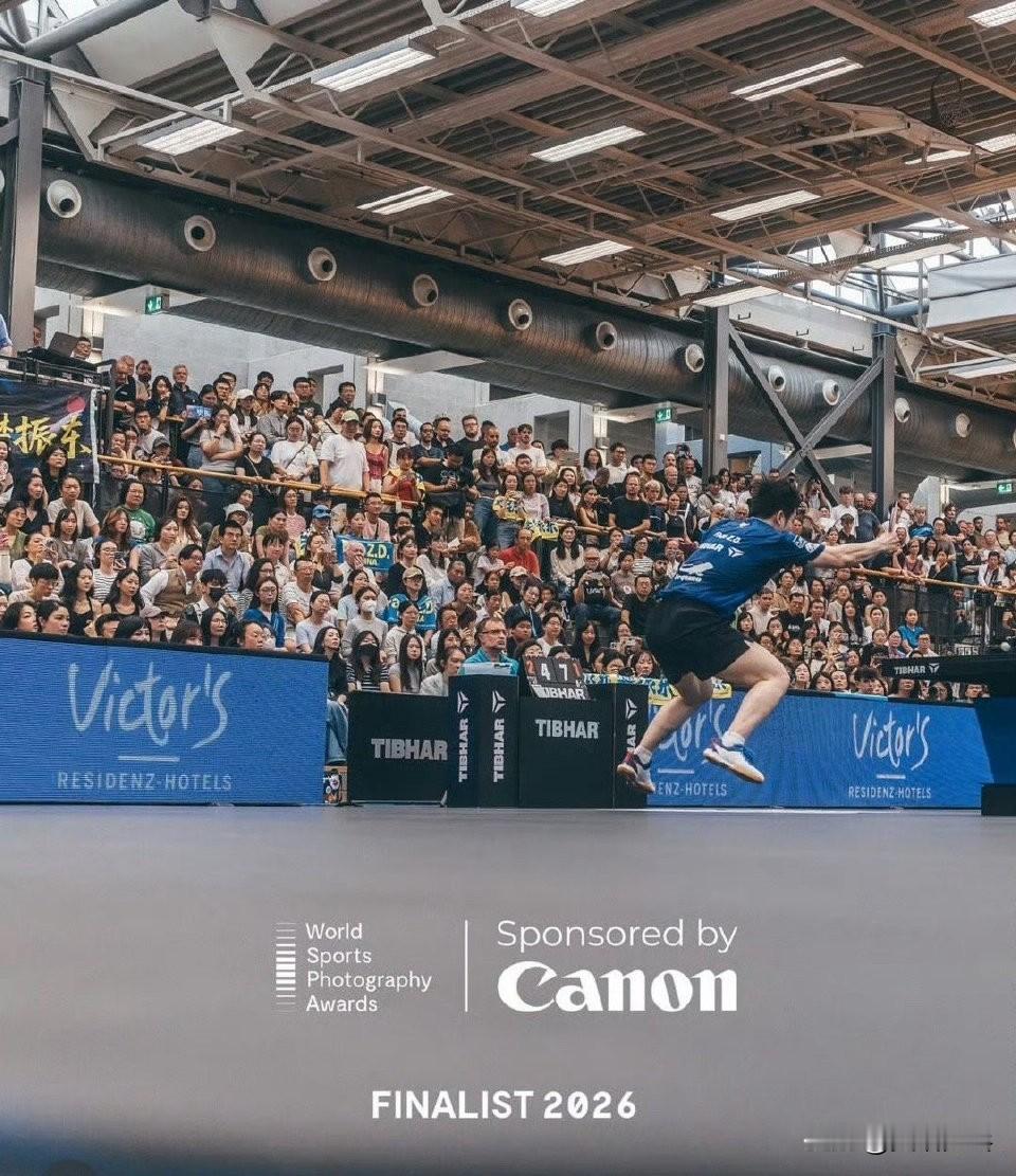 德国摄影师schnittbude在萨尔布吕肯的德甲赛场，抓拍下樊振东腾空扣杀的瞬