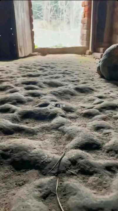 谁家的地板是这样的？？？你们见过吗