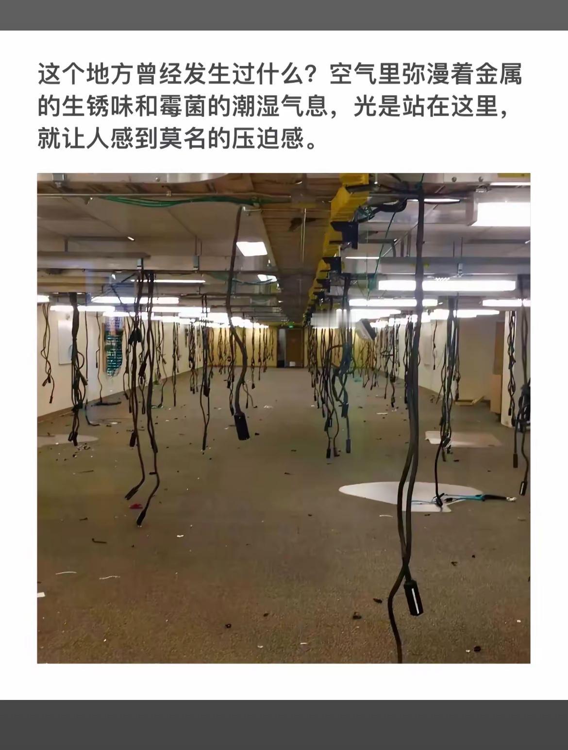 废弃工厂的阴森气息，空气中弥漫着锈迹和霉味。