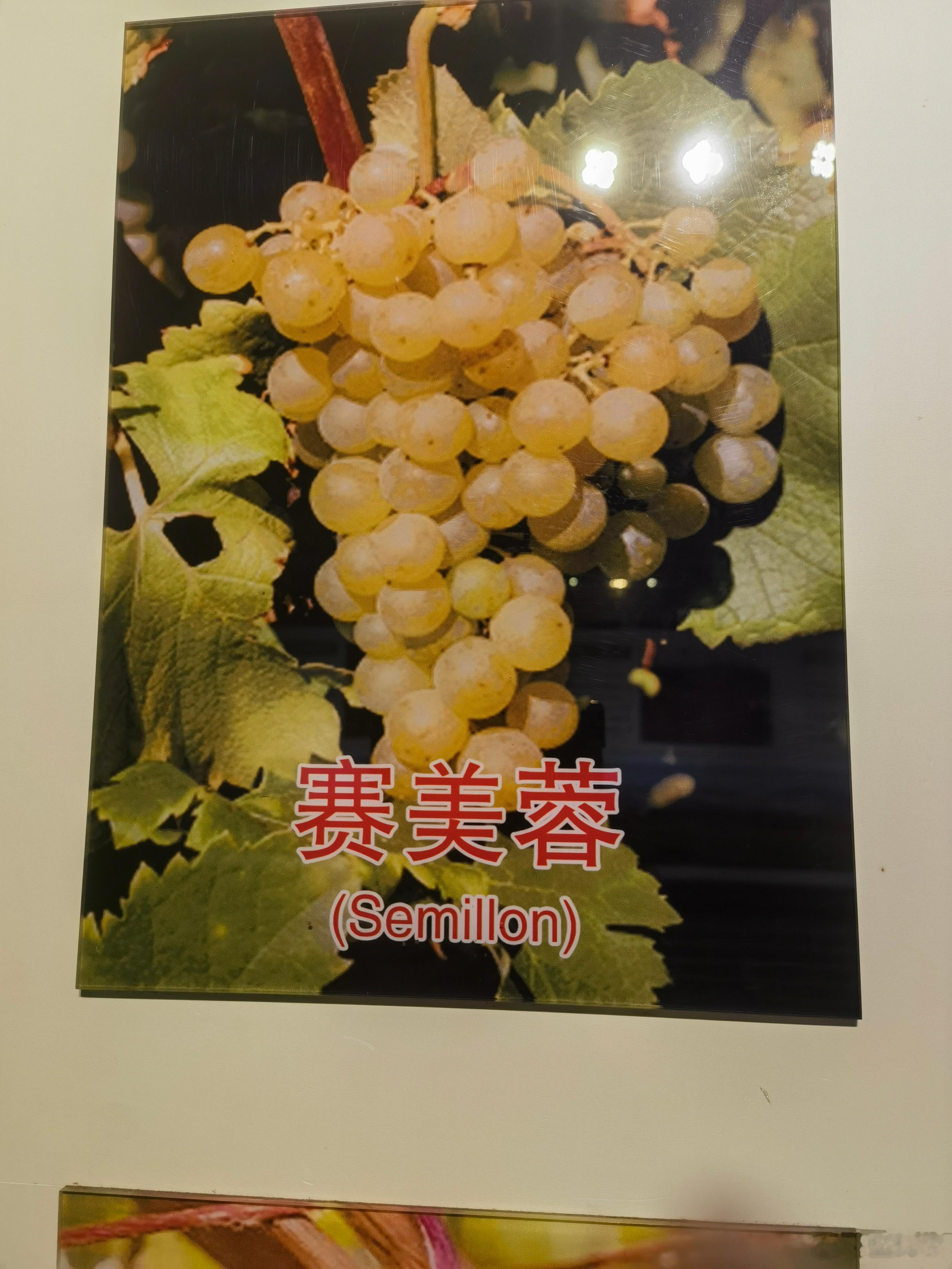 晚安晚安心语1983年5月20日，中国第一瓶干红葡萄酒在秦皇岛的华夏葡萄酒厂诞
