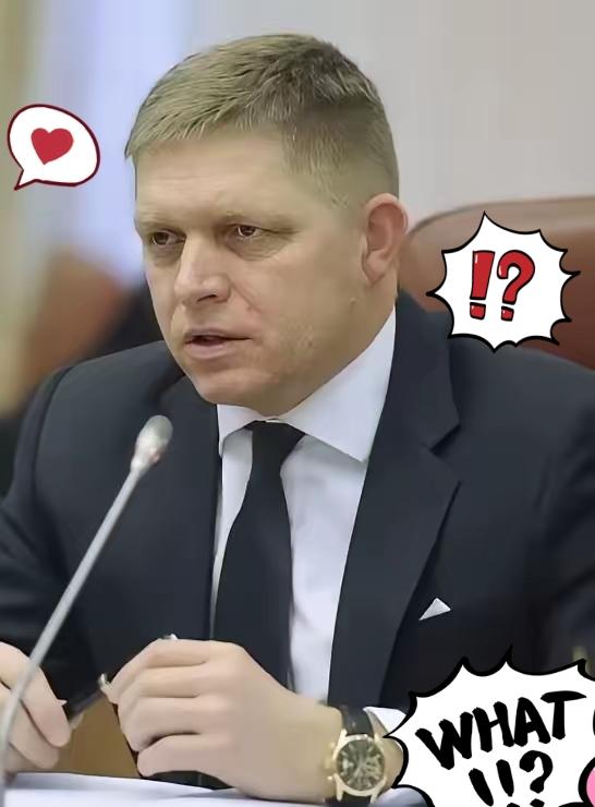 斯洛伐克总理突然宣布了，3月8日，斯洛伐克总理菲佐扔下一颗“重磅炸弹”：周二要面