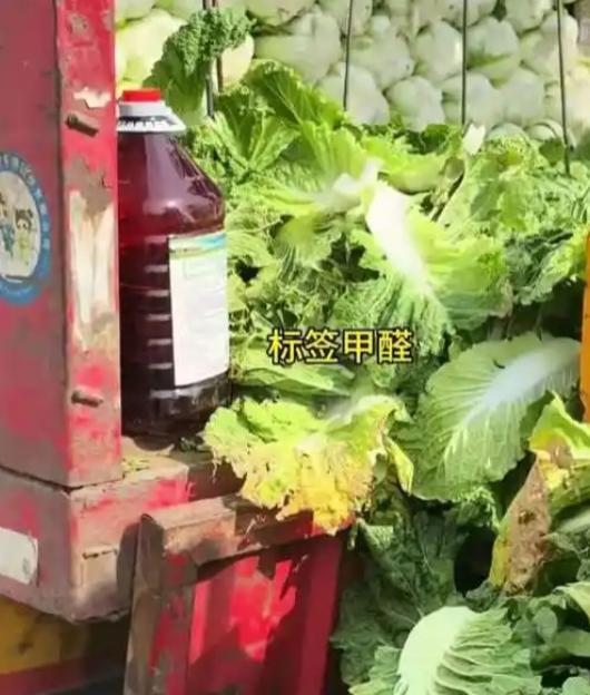 不看不知道，一看吓一跳！甲醛白菜只是冰山一角，这些食材都和工业化学品“结合”了，