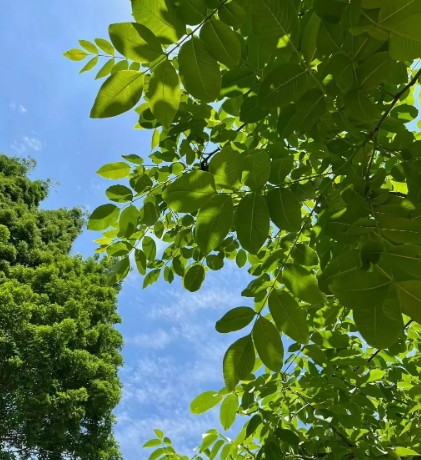 活在当下，好好爱自己。刚知道一个消息，为我刚去世三个月的同学感到悲哀。她去世还