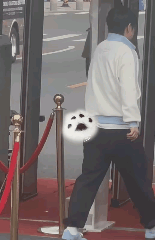 莎莎的包包哪里去了？头哥和莎莎一先一后到达首钢园，细心的网友发现，头哥不仅挎了