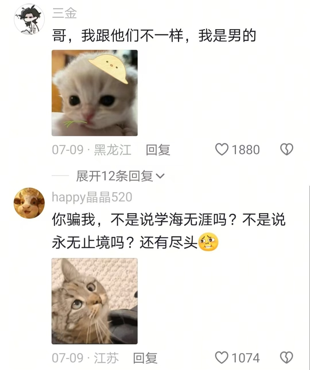 评论区不语只是一味地谄媚🤣👌