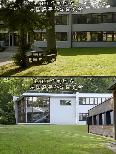 【王虹能拿奖的外部环境】王虹自己在接受法新社采访时就说，这里“既没有教学任务，