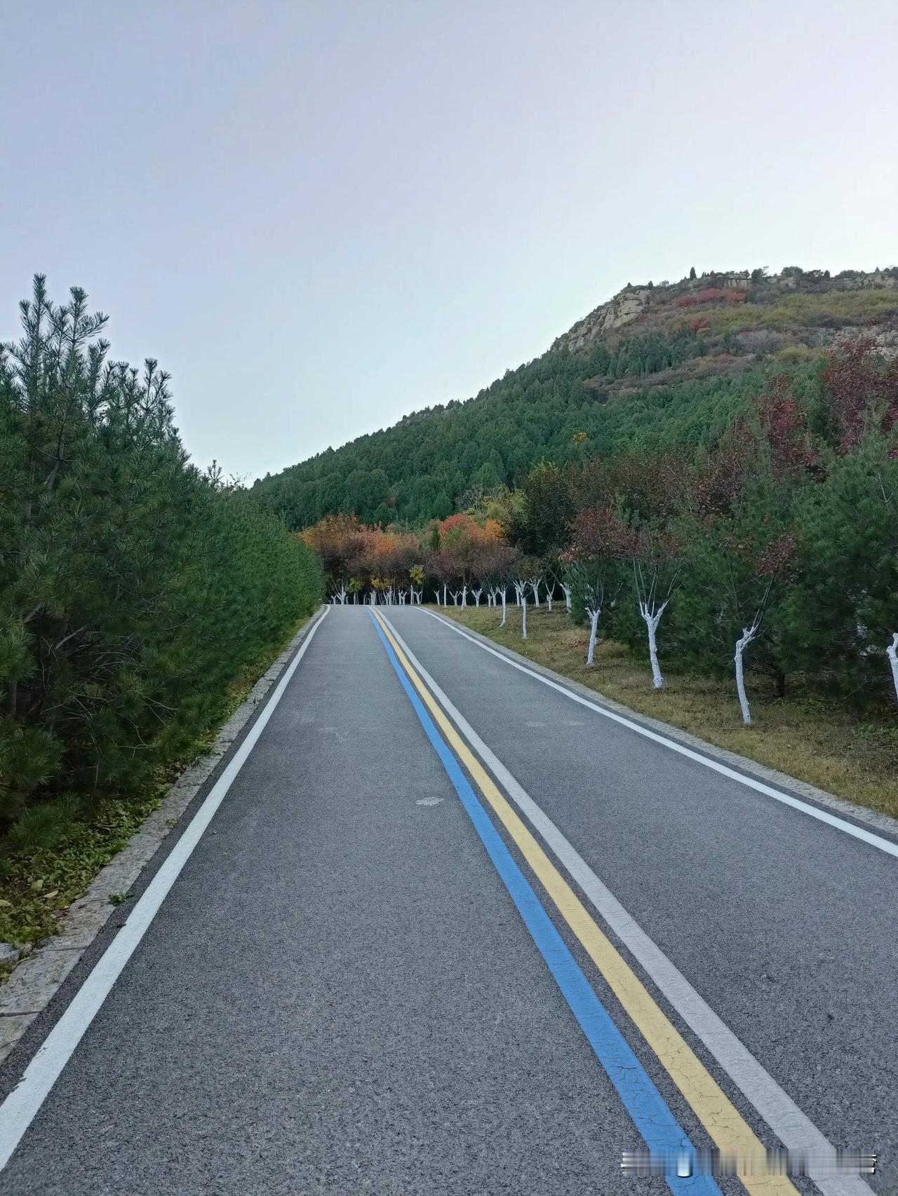 这波甲流传染性太强。昨天同事得了甲流，我和她说了两句话，期间我们俩还都带着口罩。