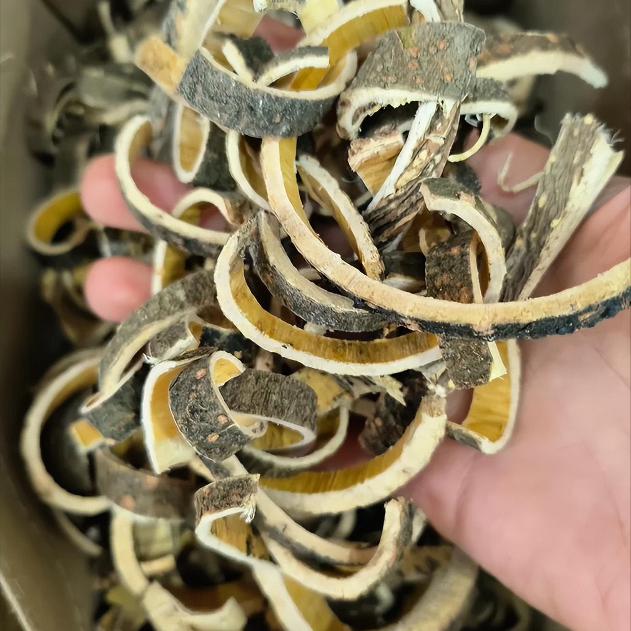 调了30年耳鸣脑鸣，就靠这一个思路！有人出高价想买断，我拒绝了——今天全公开，就