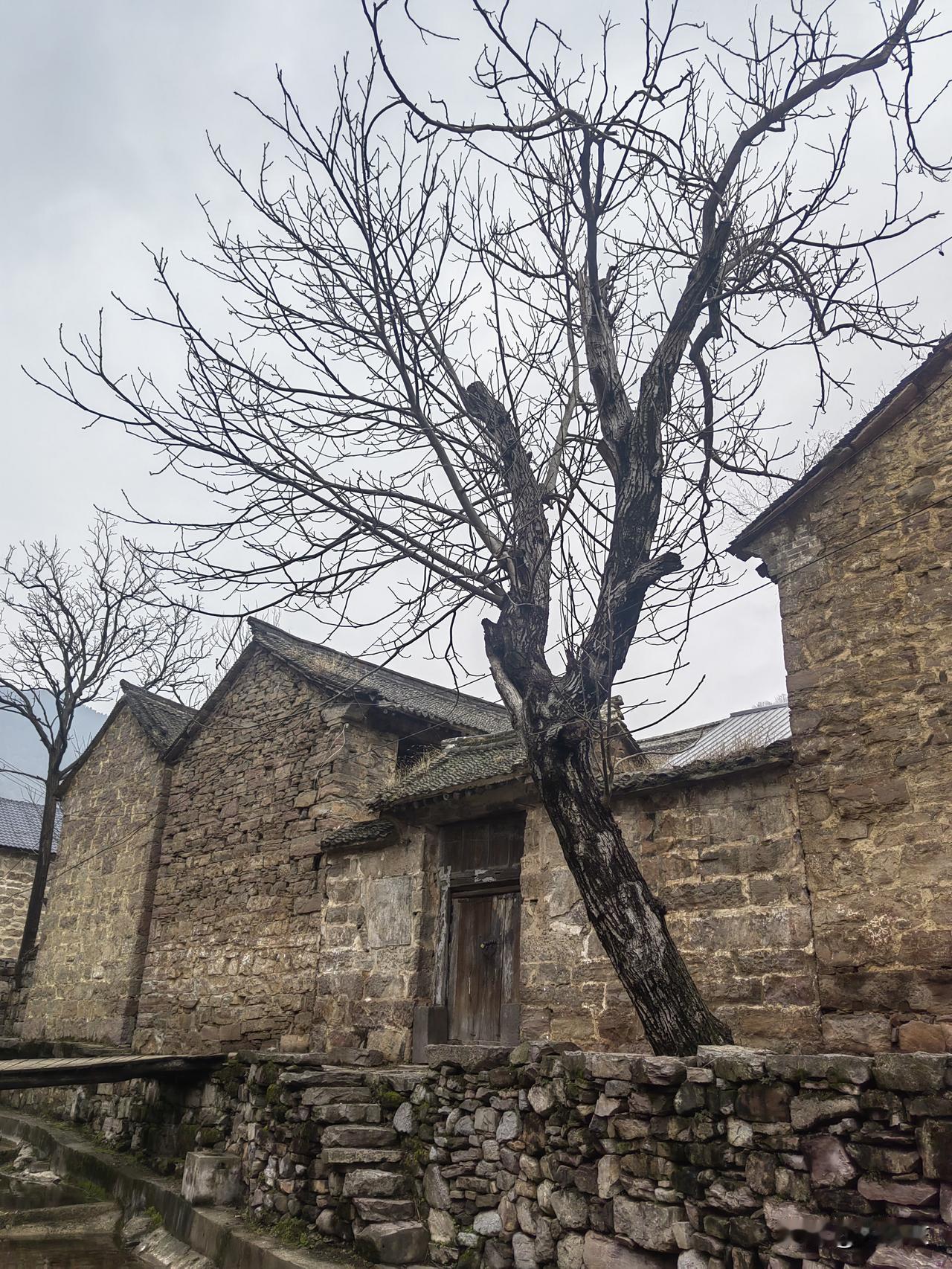 同事家孩子今年中考，她说最近总有莫名的烦躁和焦虑，搞得她好疲惫，精神状态很不好。
