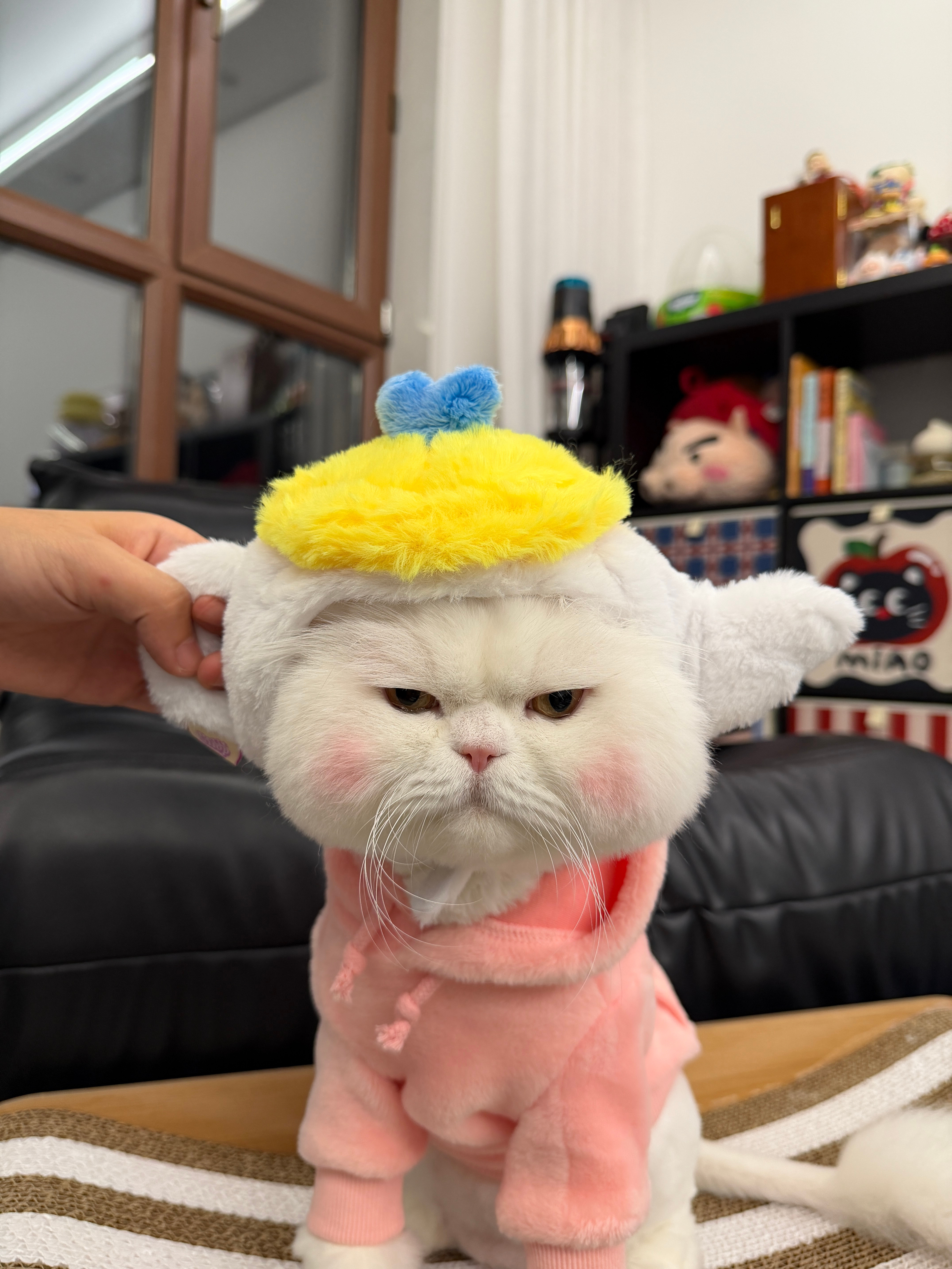 喝茶吗？ee？吃鸡吗？ee？​​​