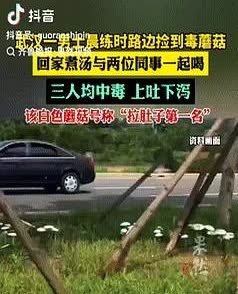 胆大包天！湖北，一男子晨练看到路边长着很多白蘑菇，于是兴高采烈摘了好多回