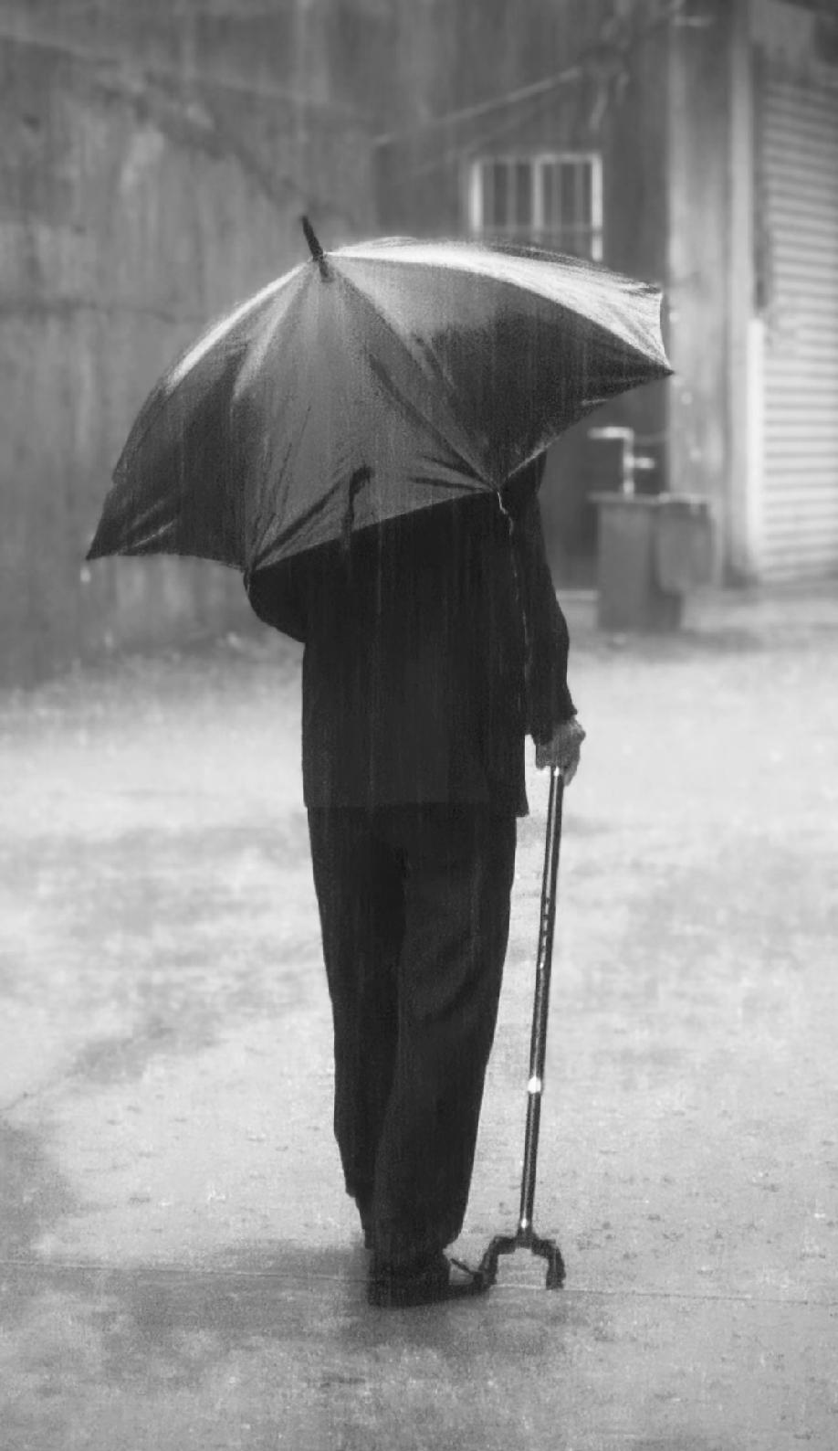 98岁北大终身教授季羡林，用一生的实践，给了我们这样的启发：“人老了，不在于运动