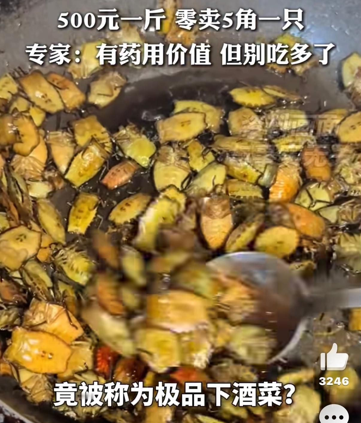 500一斤？这能吃吗？你见过最离谱的吃的是啥…