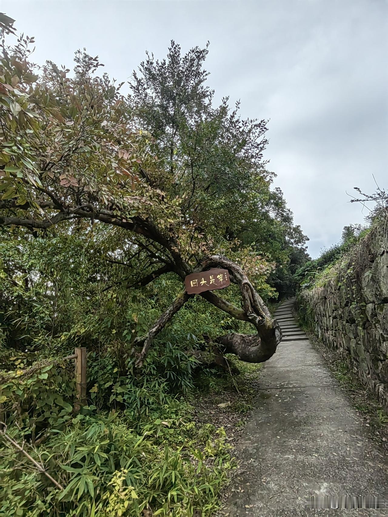 中年美女养成记——护肤篇不管什么年龄段，好皮肤几乎占了视觉一半