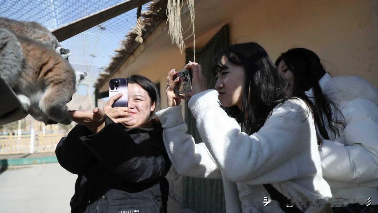 出国留学成热议，有必要去国外读书吗？——理性看待官员子女留学现象近年来，