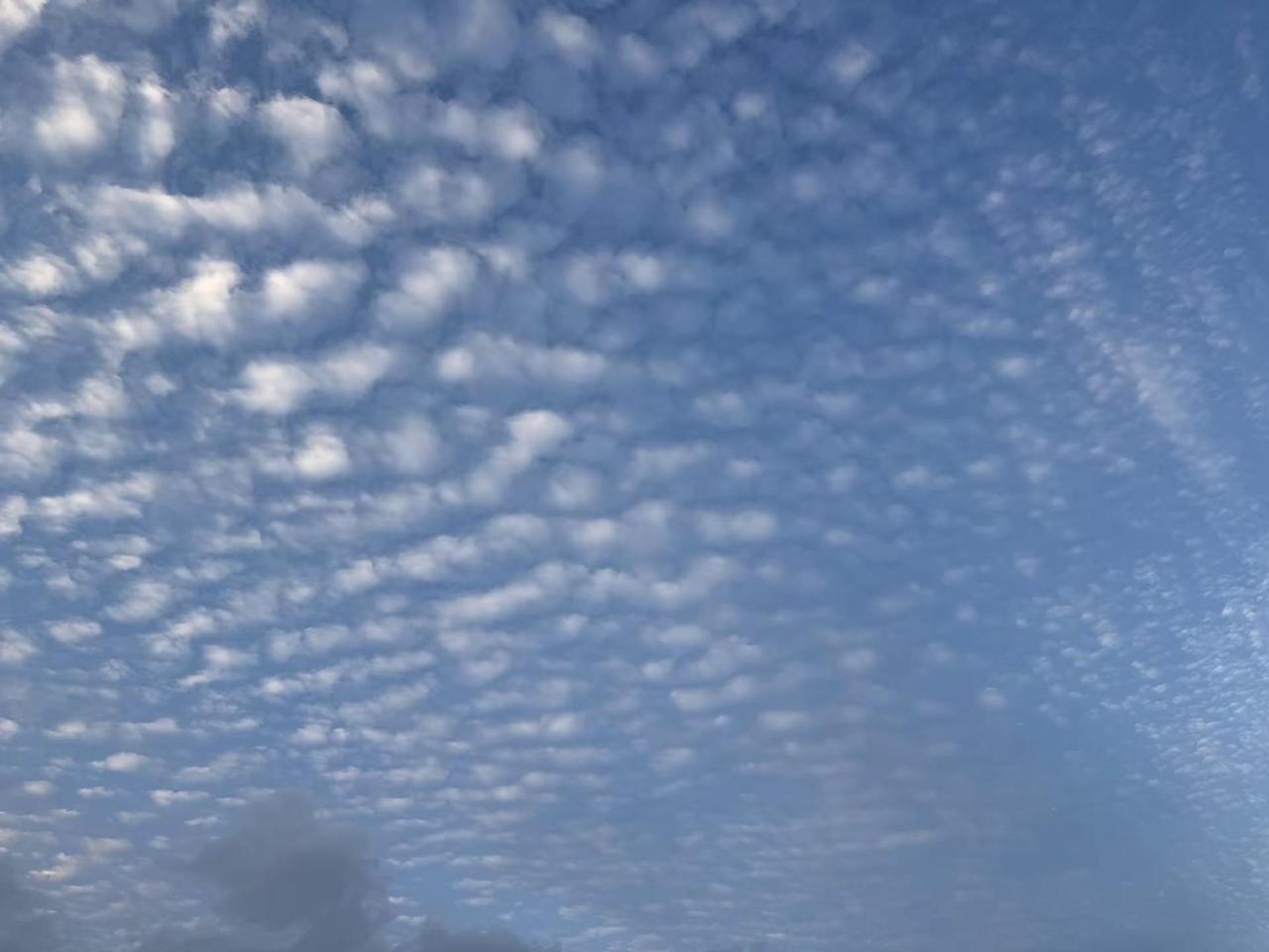 天蓝蓝水绿绿人傻傻