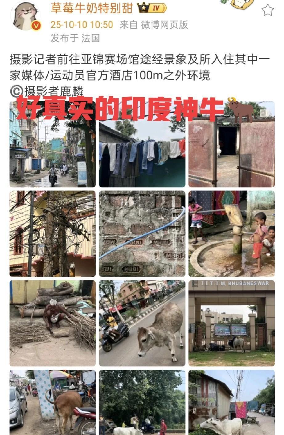 一只青蛙跳上球台，王楚钦没赶它，反而轻轻一指，让它从通道溜走了。没人想到，这事