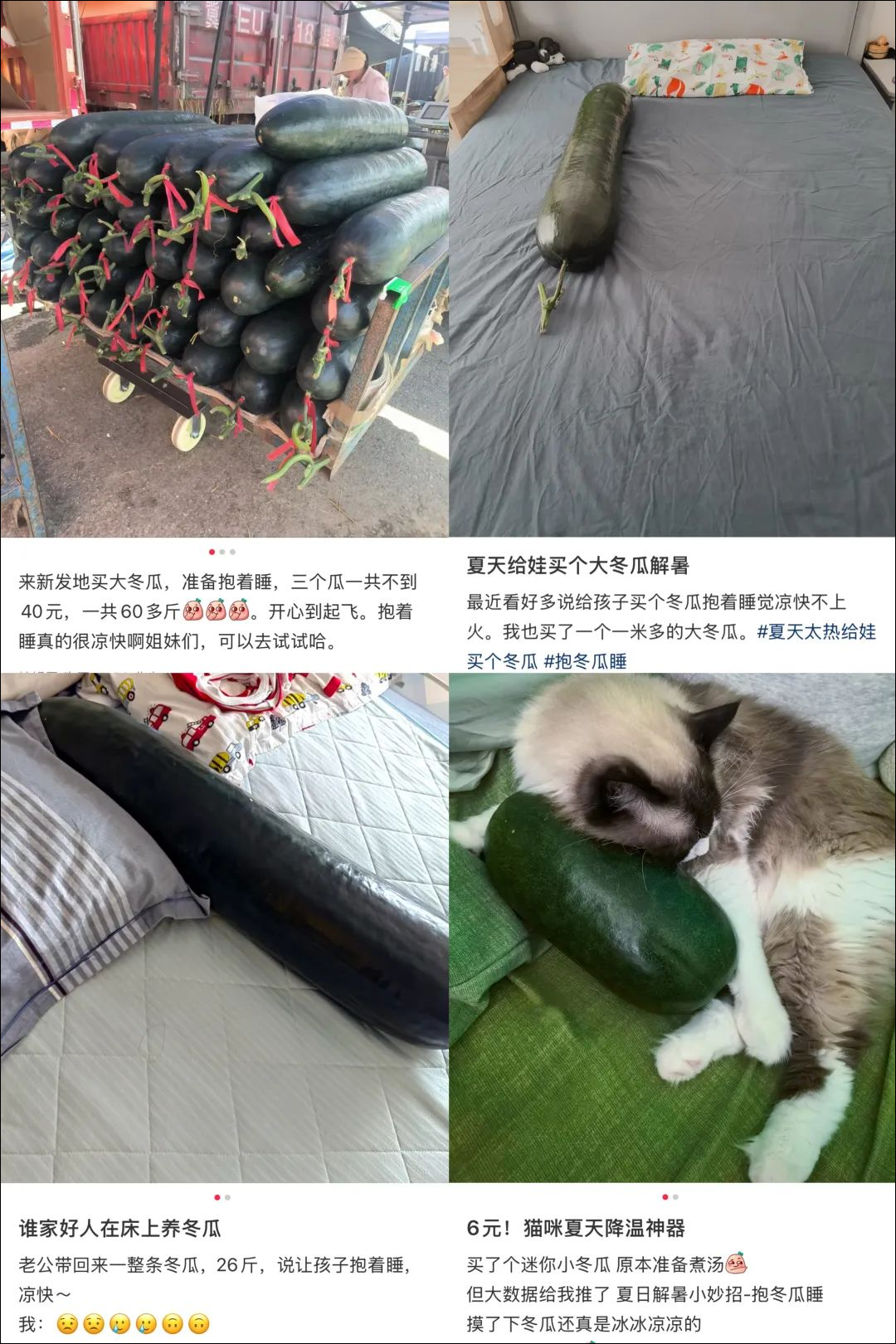 “抱冬瓜睡觉”突然走红, 医生紧急提醒