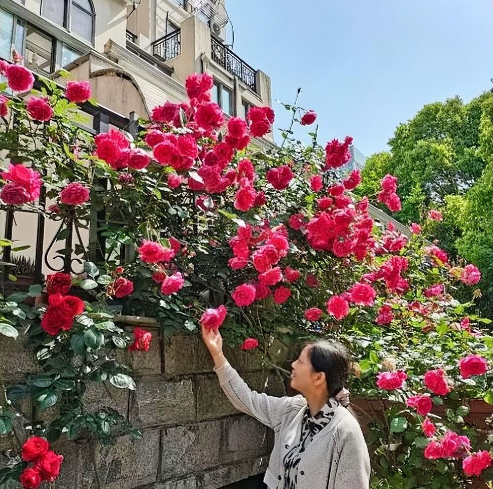 我们小区有一位做姥姥的大姐，她女儿生第一胎时，女儿的婆婆喜欢打麻将，她担心女儿的