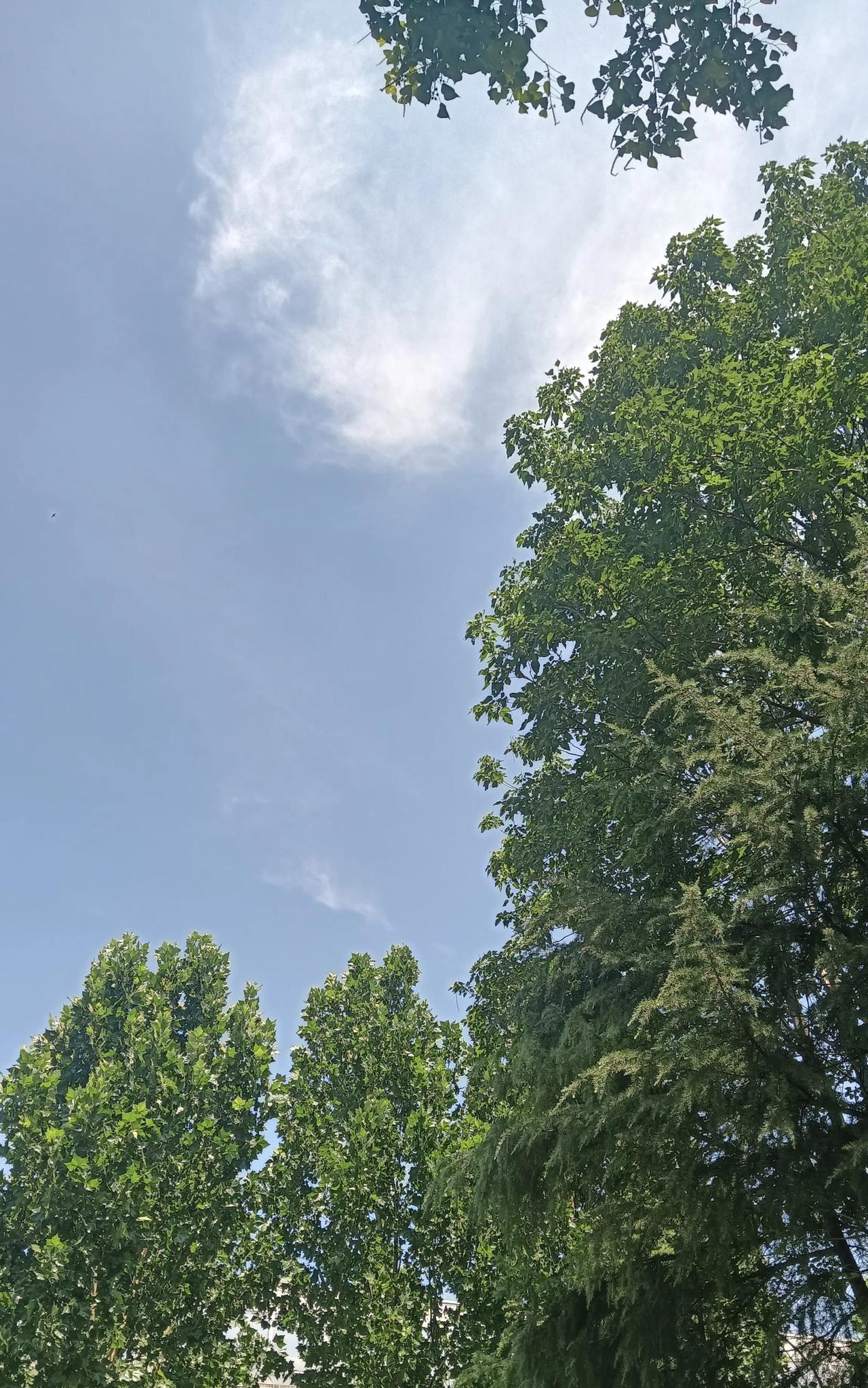 遇到这样的事，我该怎么办？今天去一家干保洁，房主交待了一下就出去了，他买的是二