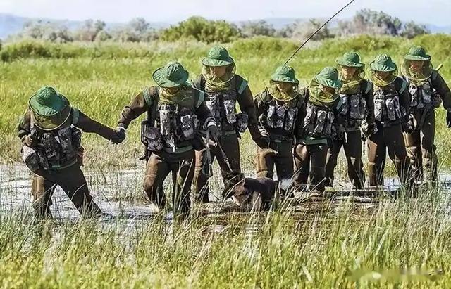 中国最危险边境线,已有7条军犬被咬死,战士们睡觉需全副武装